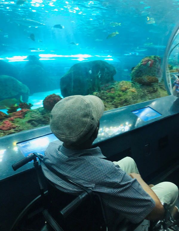 Client B sits in a wheelchair looking at the fish swimming in the large Aquarium as sunlight shines down into the water